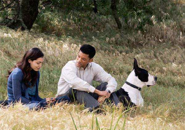 【美国电影】七磅 (2008)-盘友521资源网