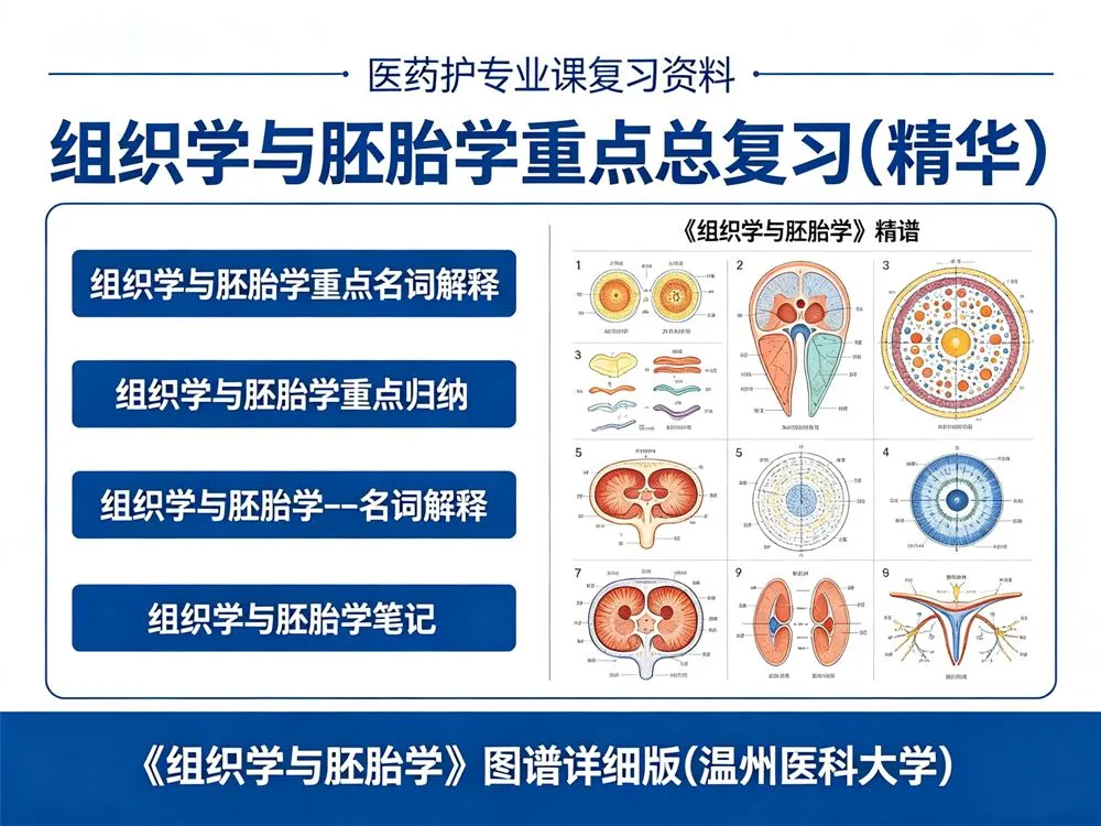 医药护专业课复习资料/组织学与胚胎学-盼享生活 https://pan521.com